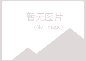 阳新县夏岚咨询有限公司